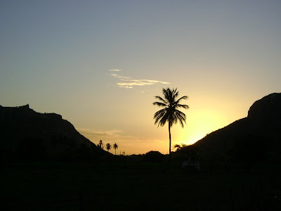 5 Innovative Smart Home Devices You Didn’t Know You Absolutely Needed